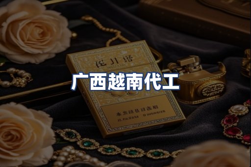 广西越南代工